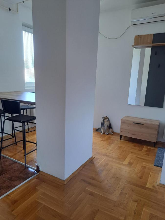 Apartman Zvezdica -Smederevo, Netflix Zewnętrze zdjęcie